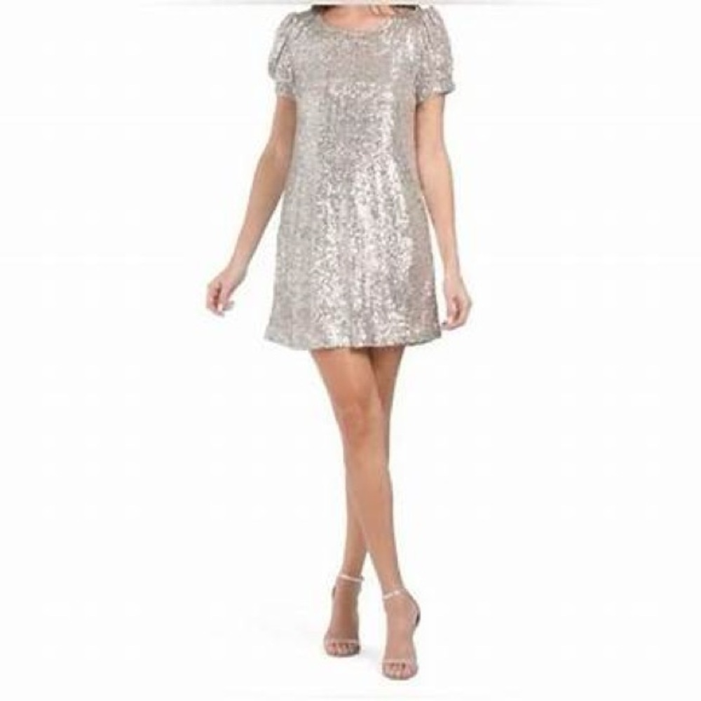Cable & Gauge Silver Sequin Mini Dress